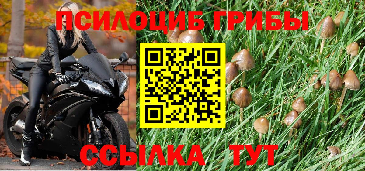 Отрадный  Галлюциногенные грибы прущие грибы  Псилоцибиновые грибы MAGIC MUSHROOMS  Вход с VPN 